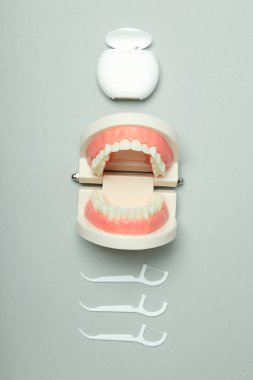 Diş bakımı, diş bakımı, üst görünüm