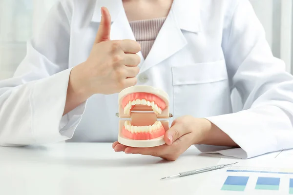 Concept Dental Care Female Doctor Holds Jaws — Stock Fotó