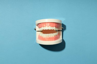 Concept of tooth care, jaws on blue background