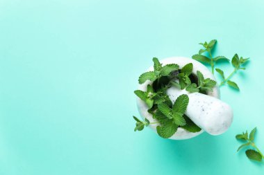 Aromatherapy concept with mint, space for text
