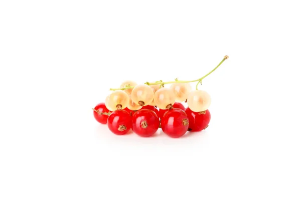White Currant Red Currant Isolated White Background — Stok fotoğraf