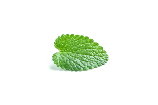 Konsep Aromaterapi Mint Diisolasi Pada Latar Belakang Putih — Stok Foto