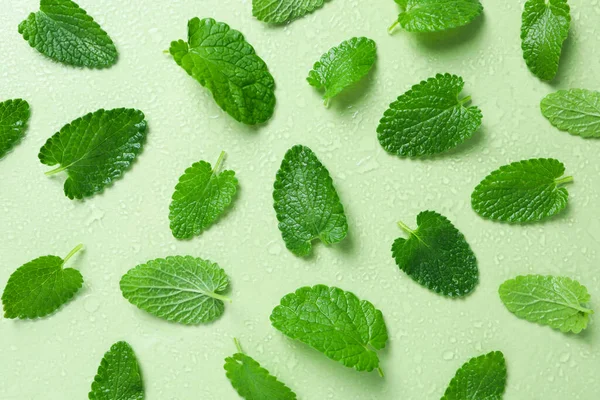 Concept of aromatherapy with mint on green background
