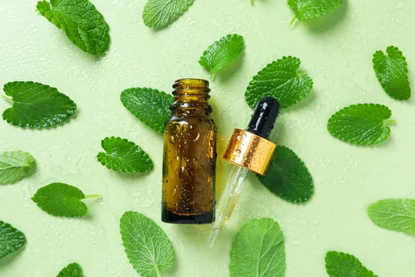 Concept of aromatherapy with mint on green background