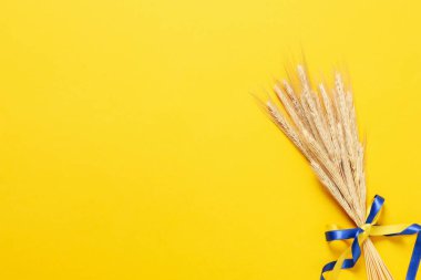 Sarı zemin üzerinde Ukrayna bayrağı renginde kurdeleler