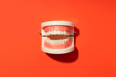 Concept of tooth care, jaws on orange background