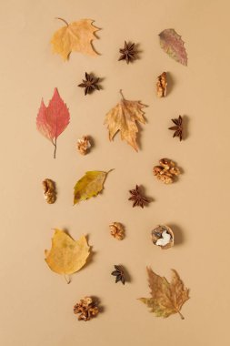 Concept of Autumn, Autumn composition accessories on beige background