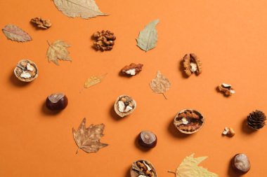Concept of Autumn, Autumn composition accessories on orange background