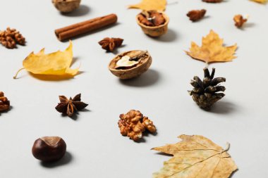 Concept of Autumn, Autumn composition accessories on light background