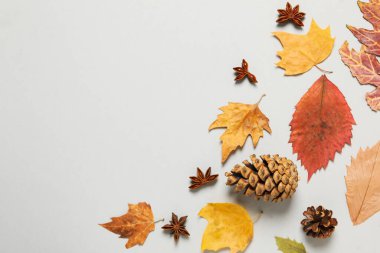 Concept of Autumn, Autumn composition accessories on light gray background