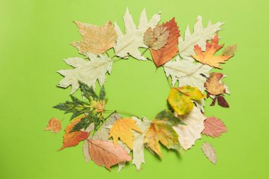 Autumn leaves on green background, space for text