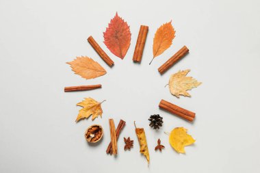 Concept of Autumn, Autumn composition accessories on light gray background