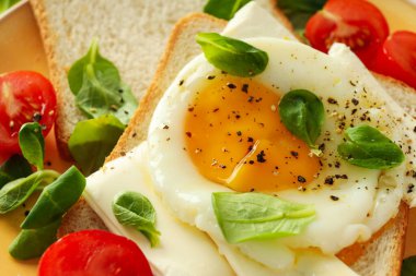 Concept of breakfast with tasty homemade sandwich