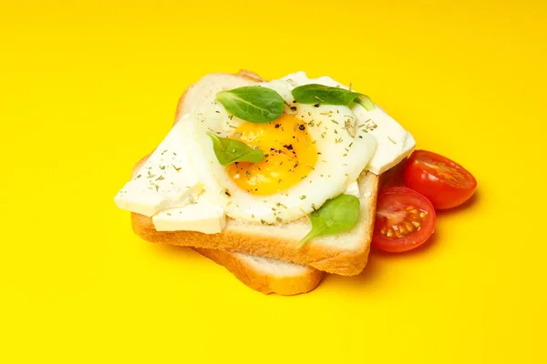 Concept Breakfast Tasty Homemade Sandwich — стоковое фото