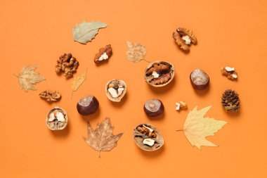 Concept of Autumn, Autumn composition accessories on orange background