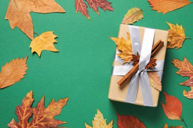 Concept of Autumn, Autumn composition accessories on green background