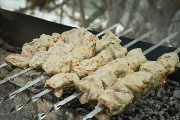 Tasty Shashlik Fried Charcoal Outdoor — Zdjęcie stockowe