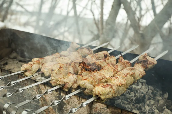 Tasty Shashlik Fried Charcoal Outdoor — Zdjęcie stockowe