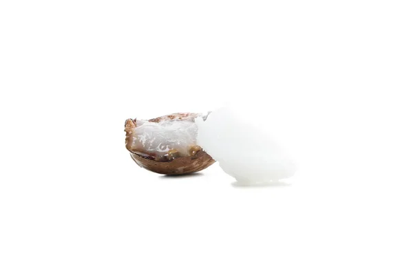 Shea Nut Half Shea Butter Isolated White Background — Stok Foto