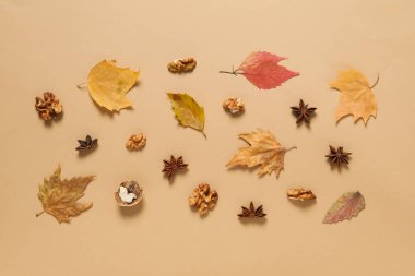 Concept of Autumn, Autumn composition accessories on beige background