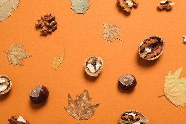 Concept of Autumn, Autumn composition accessories on orange background