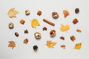 Concept of Autumn, Autumn composition accessories on light background