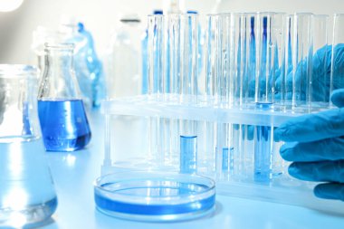 Laboratuvar aksesuarlarıyla bilim ve araştırma kavramı