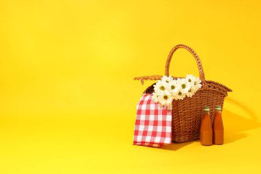 Concept of relax weekend, picnic, space for text