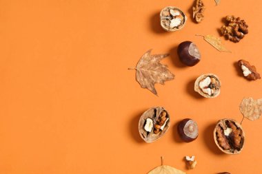 Concept of Autumn, Autumn composition accessories, space for text