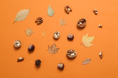 Concept of Autumn, Autumn composition accessories, top view