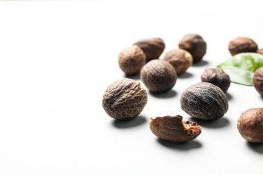 Concept of spices and condiments, nutmegs, space for text