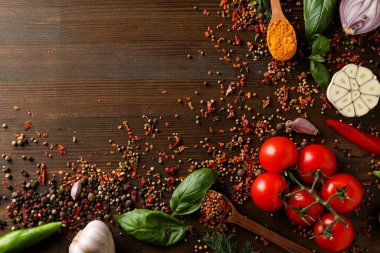 Concept of cooking, different spices, space for text
