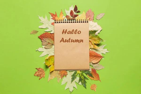 Konzept Von Hallo Herbst Komposition Mit Text Hallo Herbst — Stockfoto