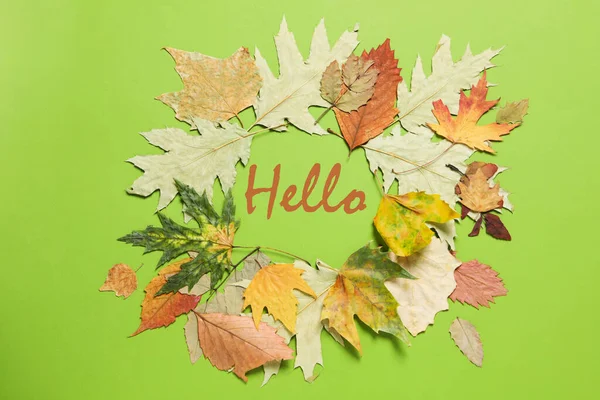 Concept of Hello Autumn, composition with text Hello