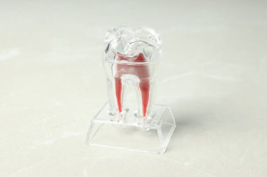 Diş tedavisi ve diş bakımı kavramı