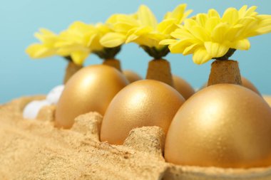 Zenginlik ve refah kavramı, altın yumurtalar