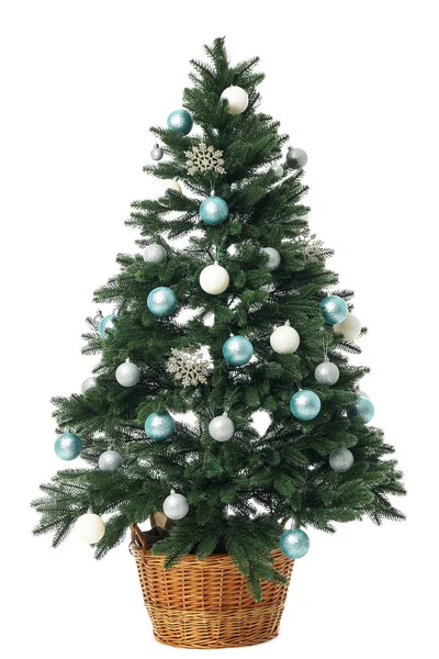 Beautiful Christmas Tree Isolated White Background — Photo