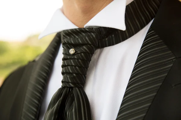 Groom tie — Stock Photo, Image