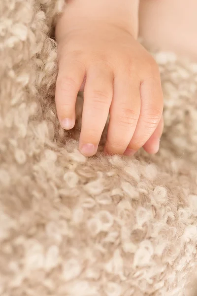 婴儿手 — 图库照片