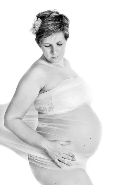 Gravid mave på hvid baggrund - Stock-foto