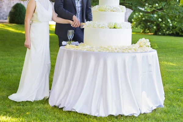 Brud och brudgum skära bröllopstårta — Stockfoto