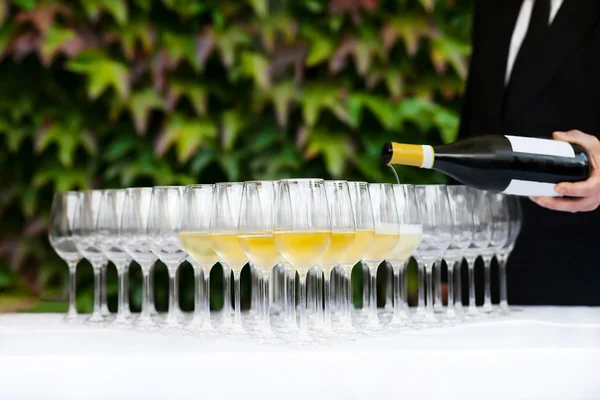 Champagne and glasses — Stock Photo, Image