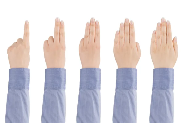 Woman's hand counts from one to five. — Stock Photo, Image