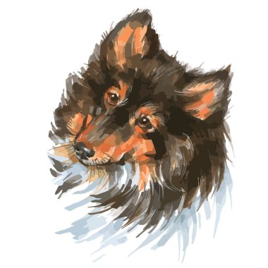 Vector illustration of sketch markers of collie portrait.