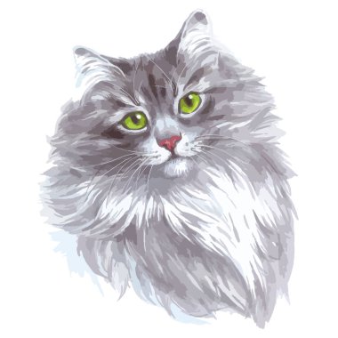 Sekiz, on bir, beş, dört, dokuz, bir, yedi, altı, on, üç, on iki,