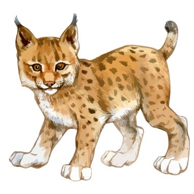 Sekiz, on bir, beş, dört, dokuz, bir, yedi, altı, on, üç, on iki,