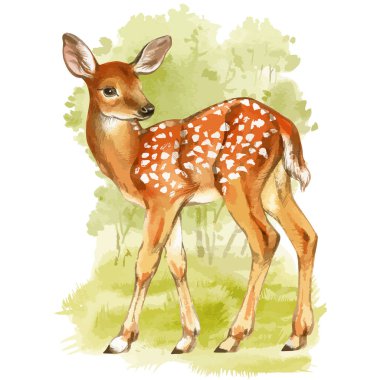 Sekiz, on bir, beş, dört, dokuz, bir, yedi, altı, on, üç, on iki,