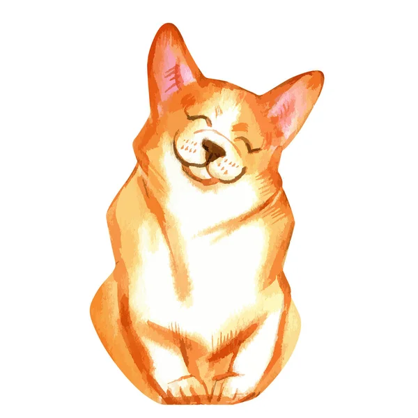 Vector illustration of sitting and smiling pembroke welsh corgi dog — Stok Vektör