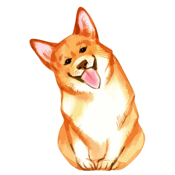 Vector illustration of sitting and smiling pembroke welsh corgi dog — Stok Vektör