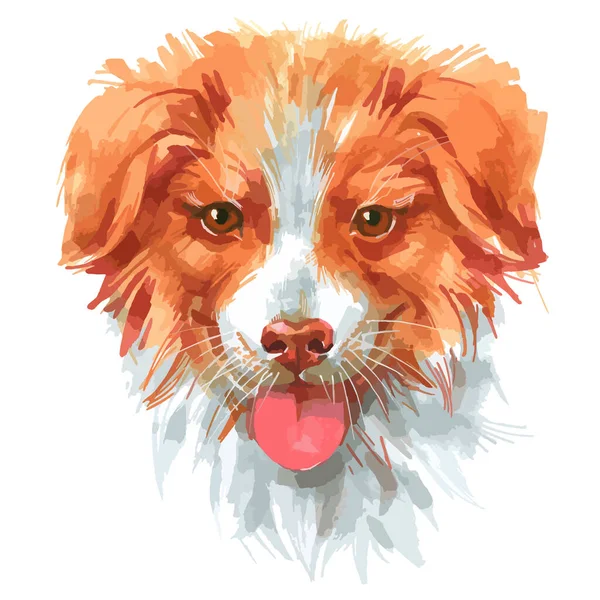 Vector illustration of of australian shepherd puppy portrait. — Image vectorielle